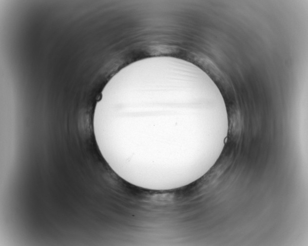 X0000095690426200802051317
