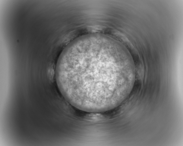 X0000095690427200802051317