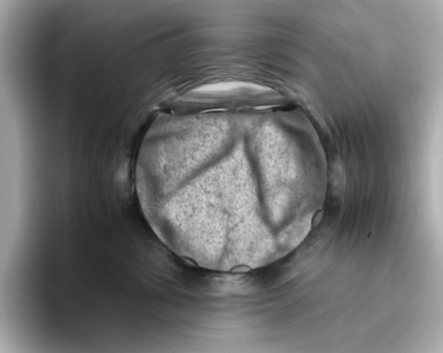 X0000095690428200802051317