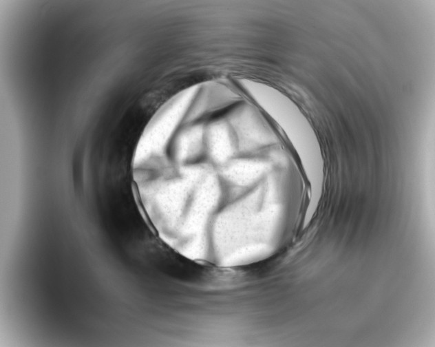 X0000095690429200802051317