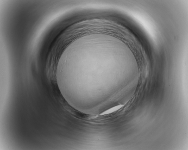 X0000095690431200802051317