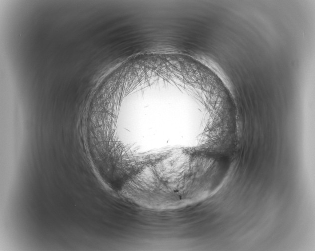X0000095690433200802051316