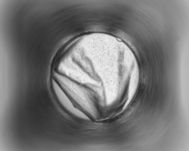 X0000095690437200802051316