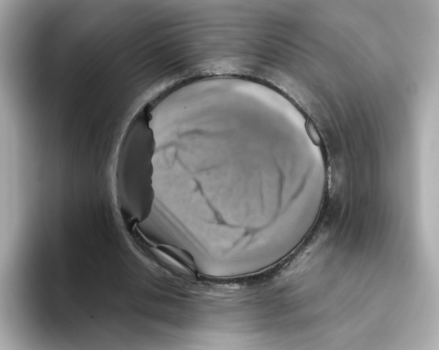 X0000095690438200802051316