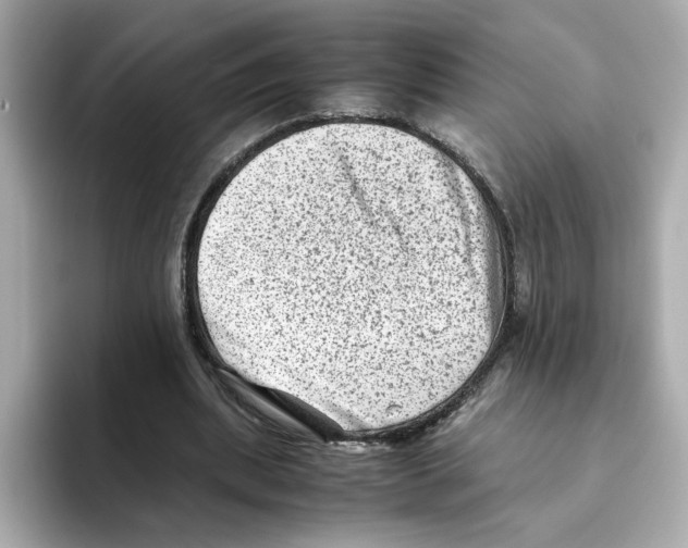 X0000095690439200802051316