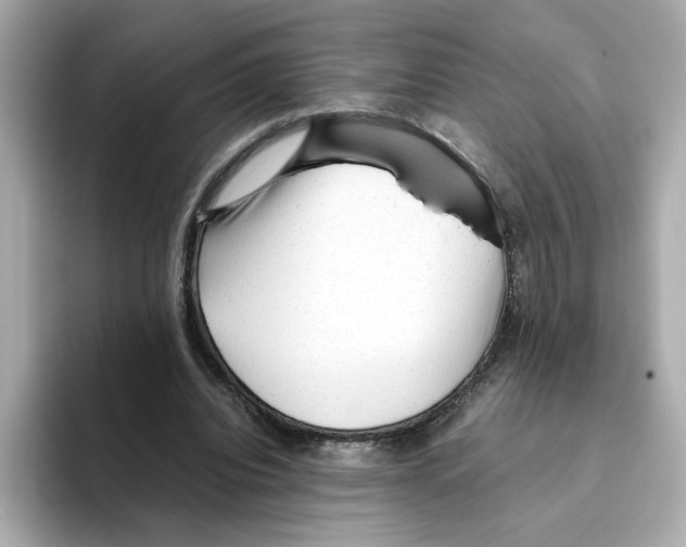 X0000095690440200802051316