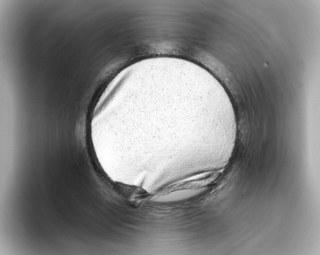 X0000095690442200802051316
