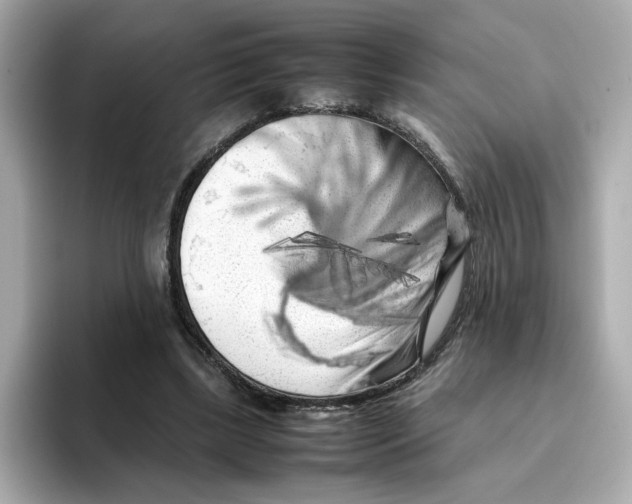 X0000095690443200802051316