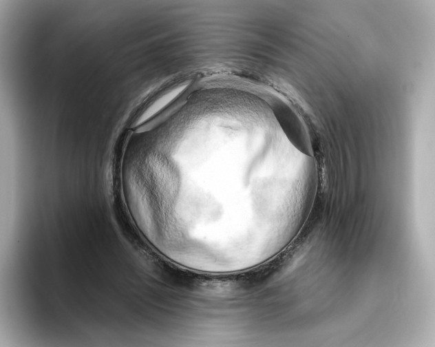 X0000095690444200802051316