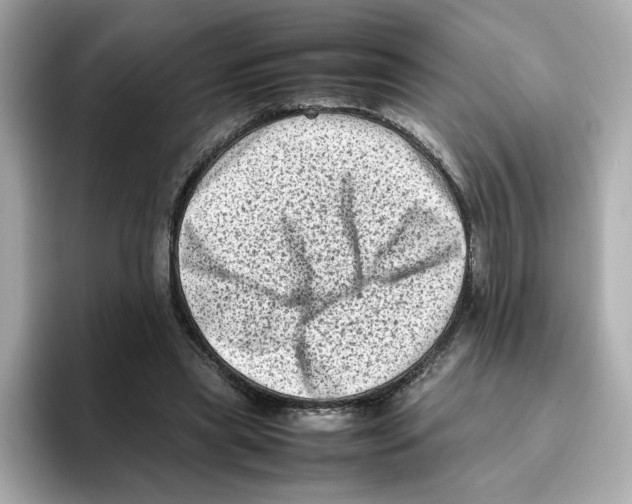 X0000095690445200802051316