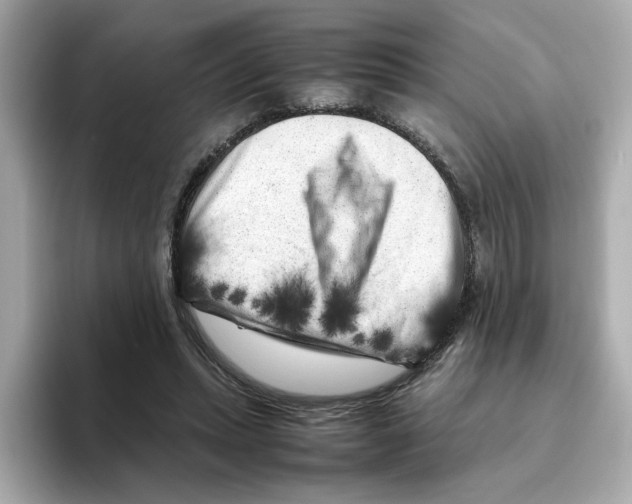 X0000095690447200802051316
