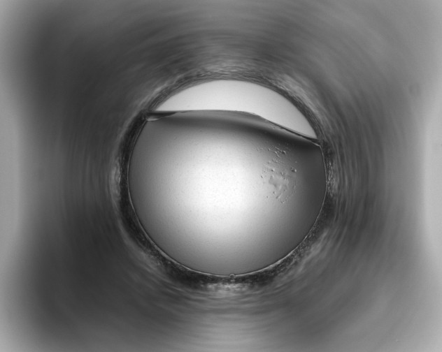 X0000095690448200802051316