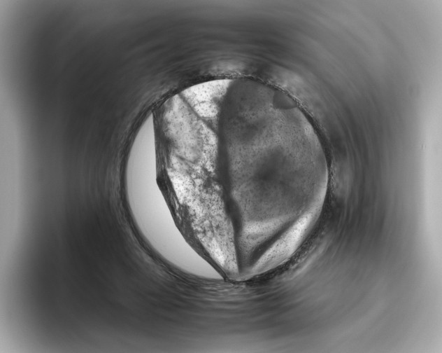 X0000095690449200802051316