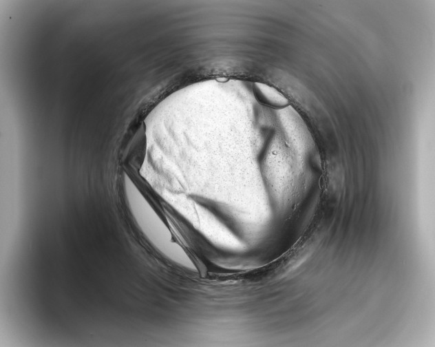 X0000095690450200802051316