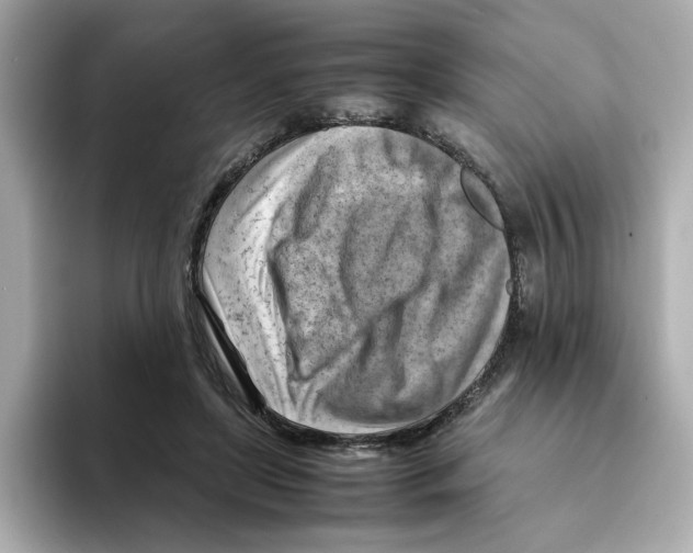 X0000095690451200802051316