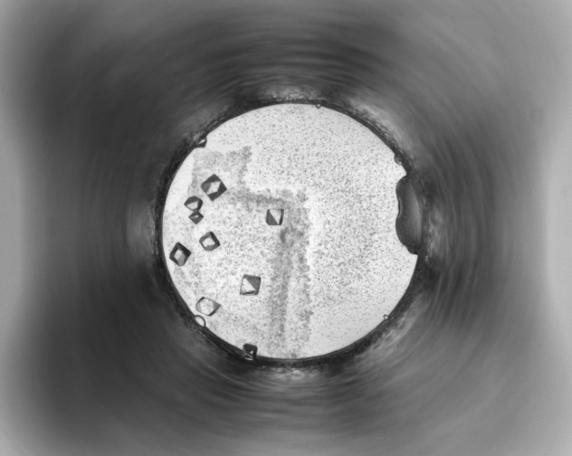 X0000095690453200802051316