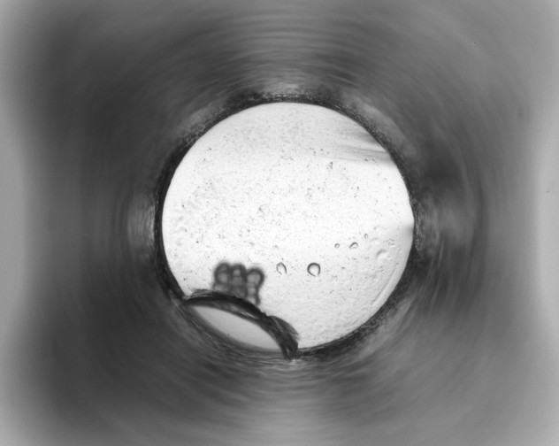X0000095690454200802051316