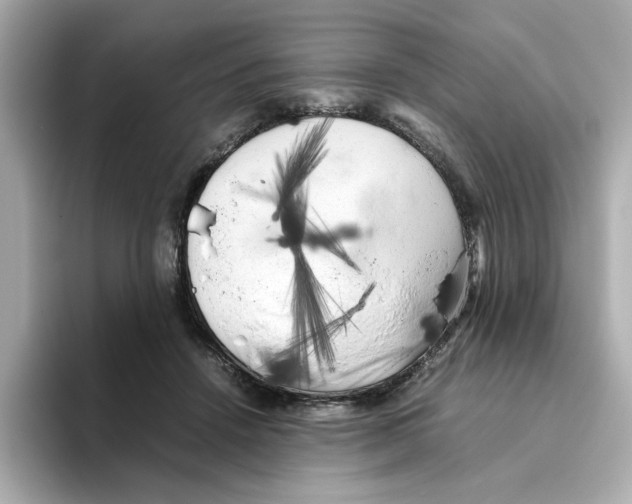 X0000095690456200802051316