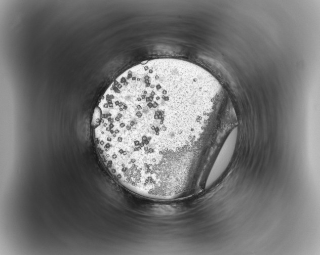 X0000095690457200802051316