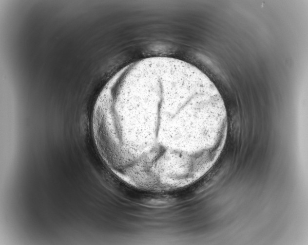 X0000095690459200802051316