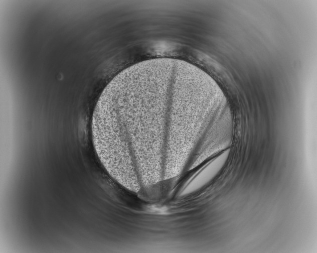 X0000095690461200802051316