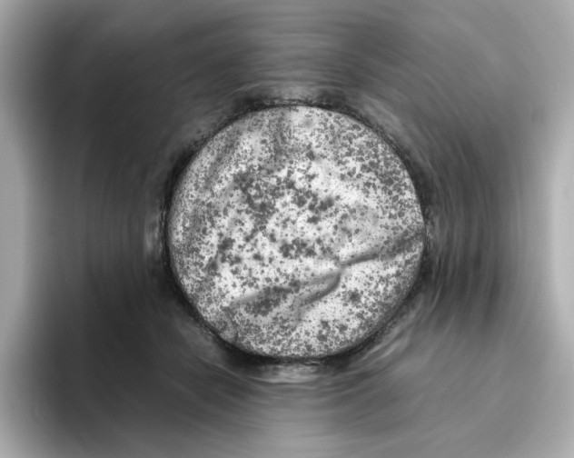 X0000095690462200802051316
