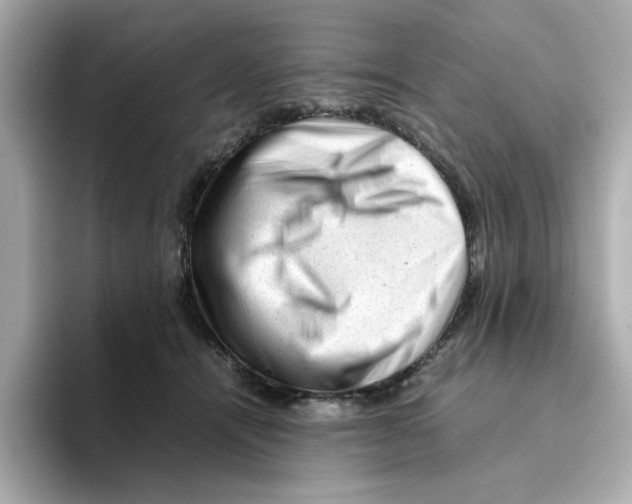 X0000095690464200802051316