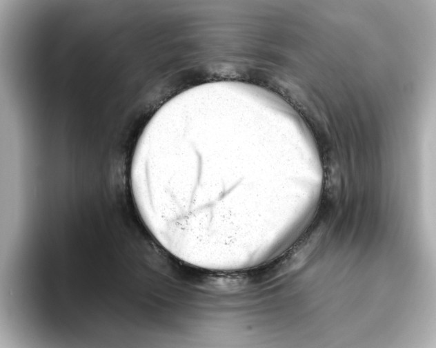 X0000095690466200802051316