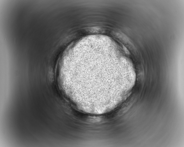 X0000095690469200802051316