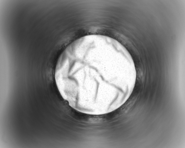 X0000095690470200802051316