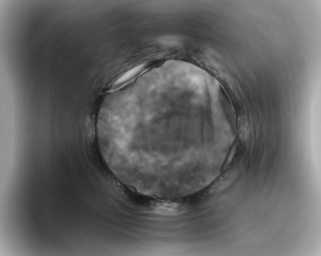 X0000095690471200802051316