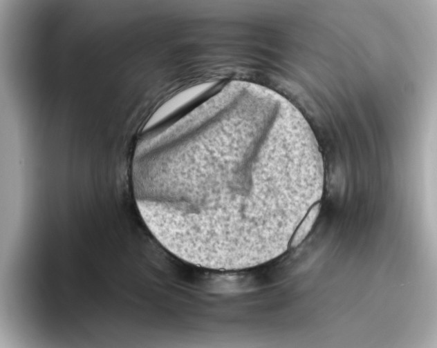 X0000095690473200802051316