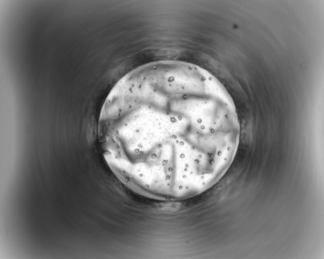 X0000095690474200802051316
