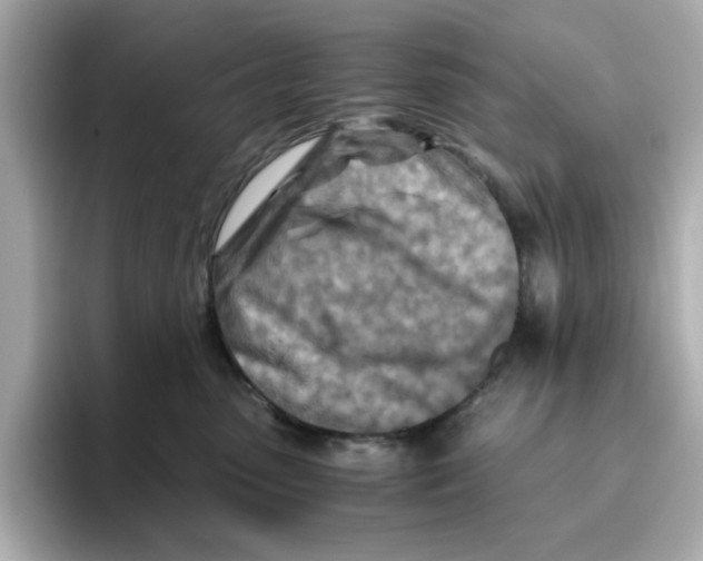 X0000095690475200802051316
