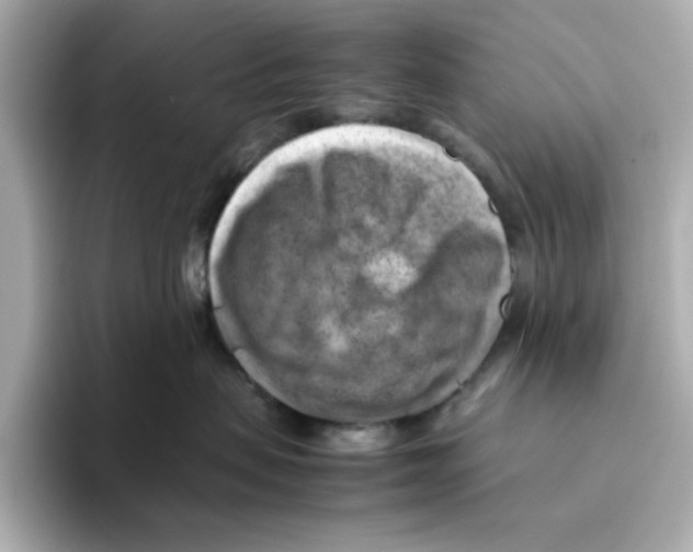 X0000095690479200802051317