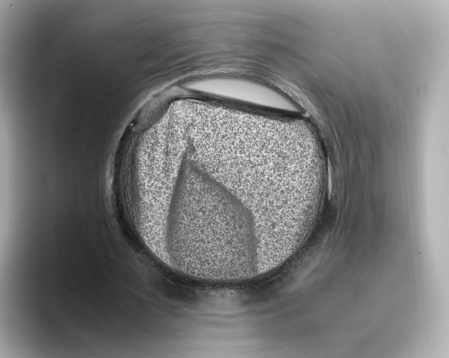 X0000095690483200802051316
