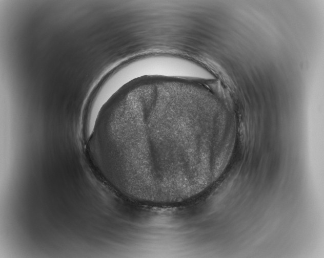 X0000095690484200802051316