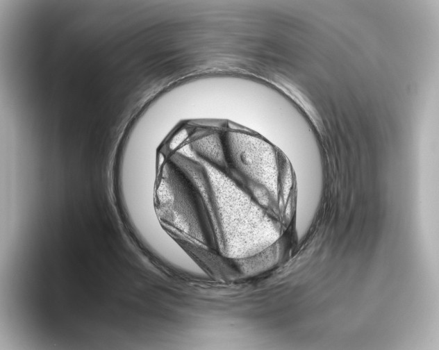 X0000095690485200802051316