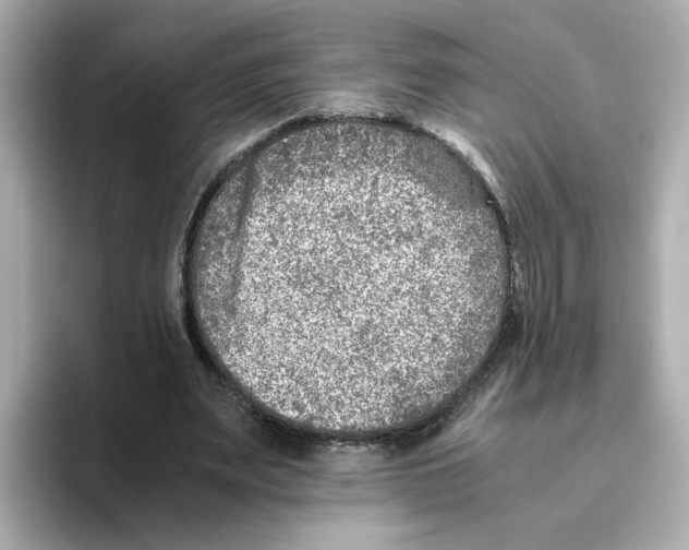 X0000095690487200802051316
