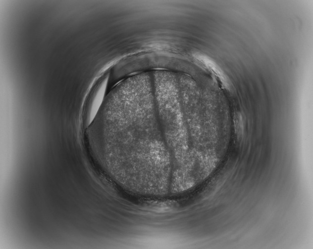 X0000095690488200802051316