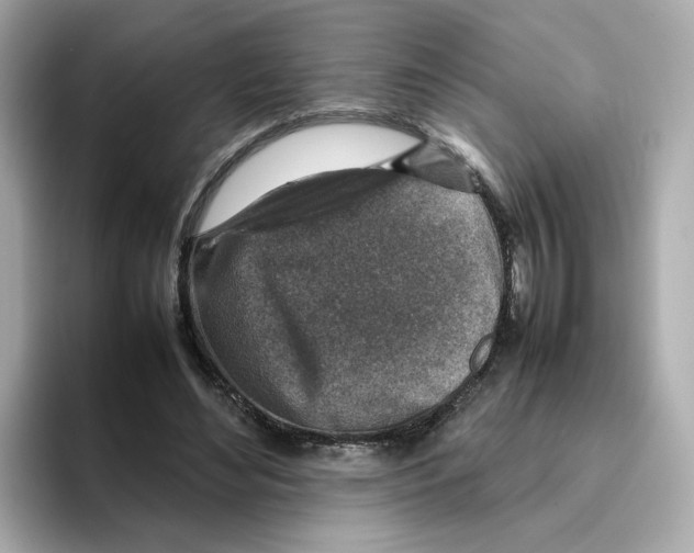 X0000095690492200802051316