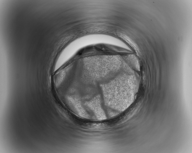 X0000095690493200802051316
