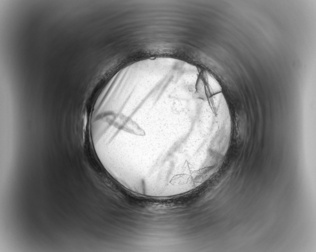 X0000095690494200802051316