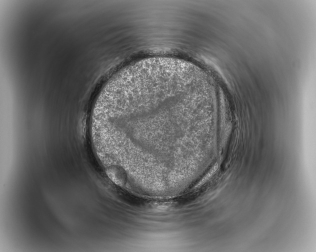 X0000095690495200802051316