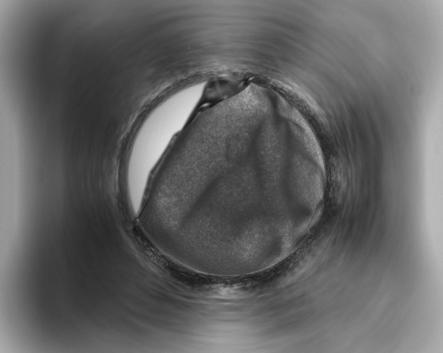 X0000095690496200802051316