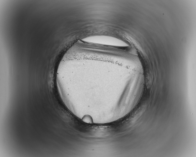 X0000095690497200802051316