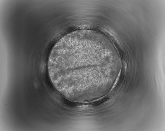 X0000095690499200802051315