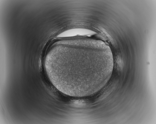 X0000095690500200802051315
