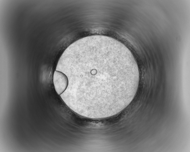 X0000095690502200802051315