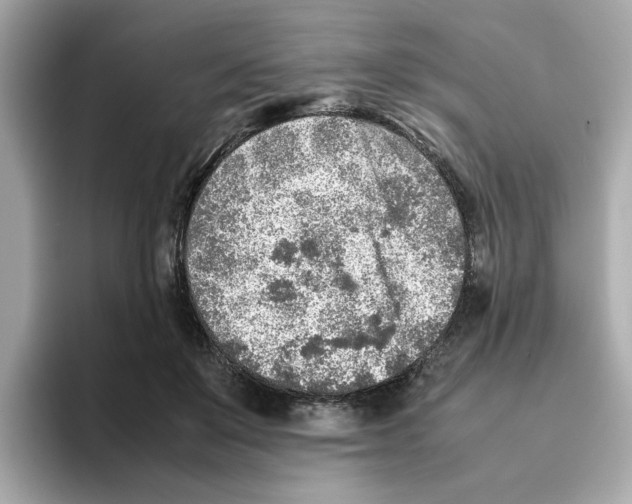 X0000095690503200802051315